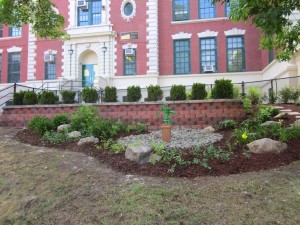 PS 84 goes green in a hands-on way 1