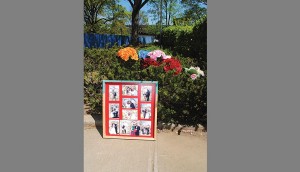 NYC Park Advocates keep heat on DCAS 1
