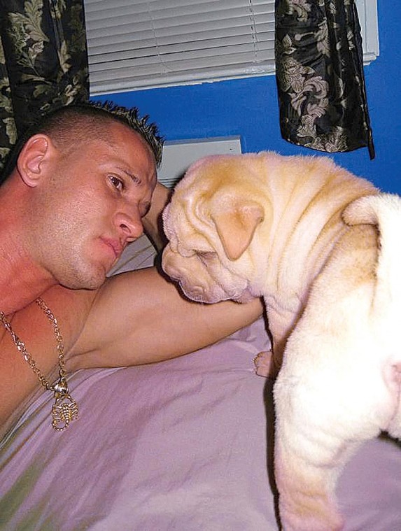 Astoria’s canine  killer pleads guilty 1
