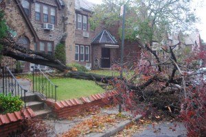 Politics, weather shake up Queens 1
