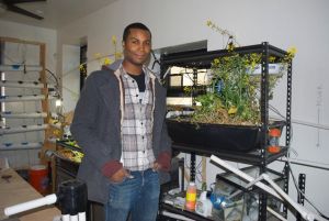 Astorian grew his organic farm in LIC 1