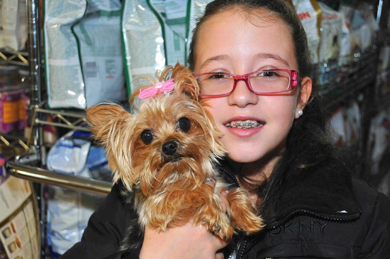 Pampered pooches 54004