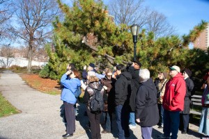 Great Backyard Bird Count needs you! 2