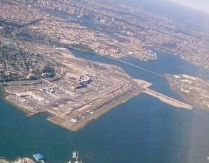 U.S. DOT slams FAA on bird strikes 1