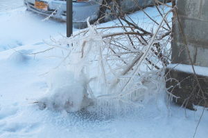 South Queens’ sense of snow  
