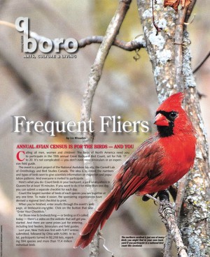 Great Backyard Bird Count needs you! 1