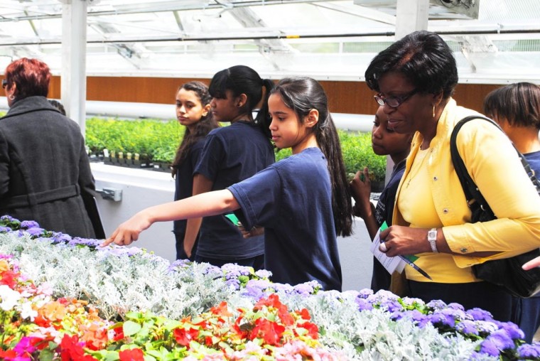 The city’s flowers, brought to you by Qns.