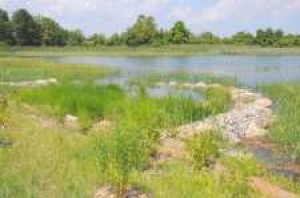 DEP finishes restoration work at Alley Creek 
