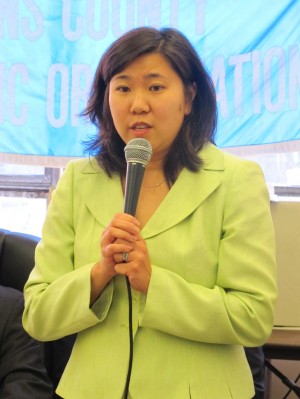 Three Dems seek to replace Ackerman 2