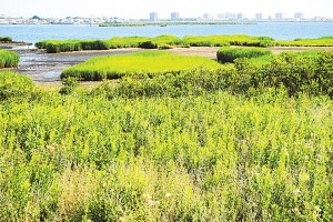 City, feds sign pact to manage Gateway 1
