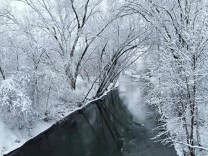 Wilton man honored for nature photograph in statewide contest