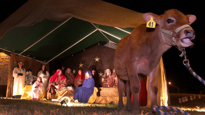 Living Nativity raises funds for food pantry - Quad City Times