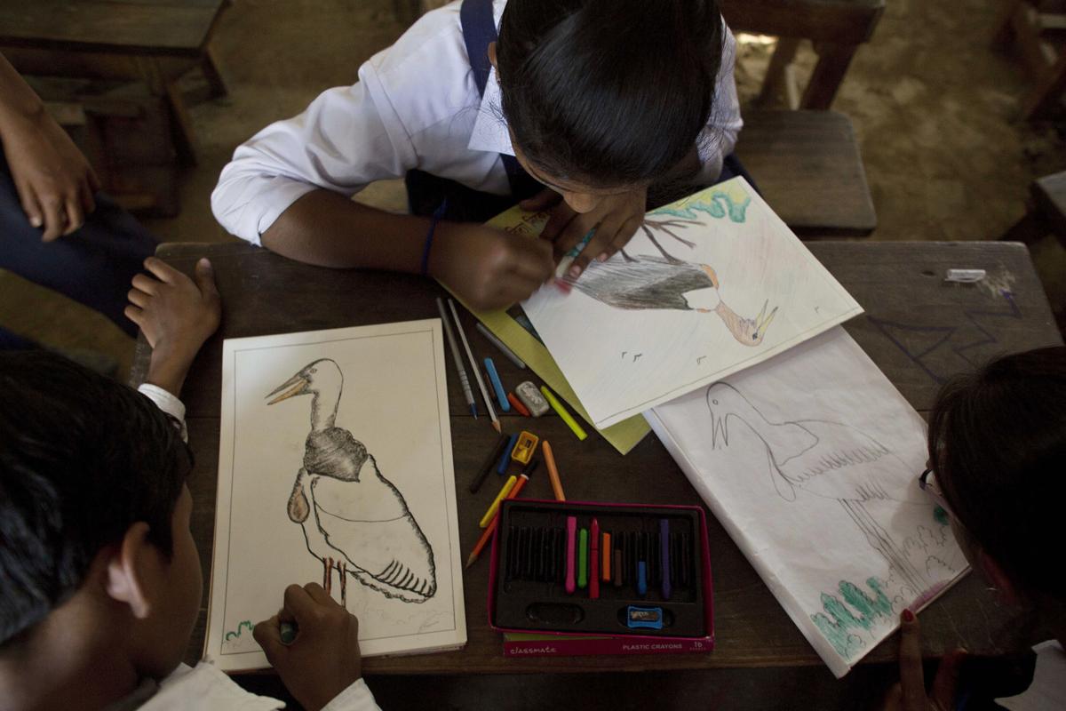 India Saving Storks