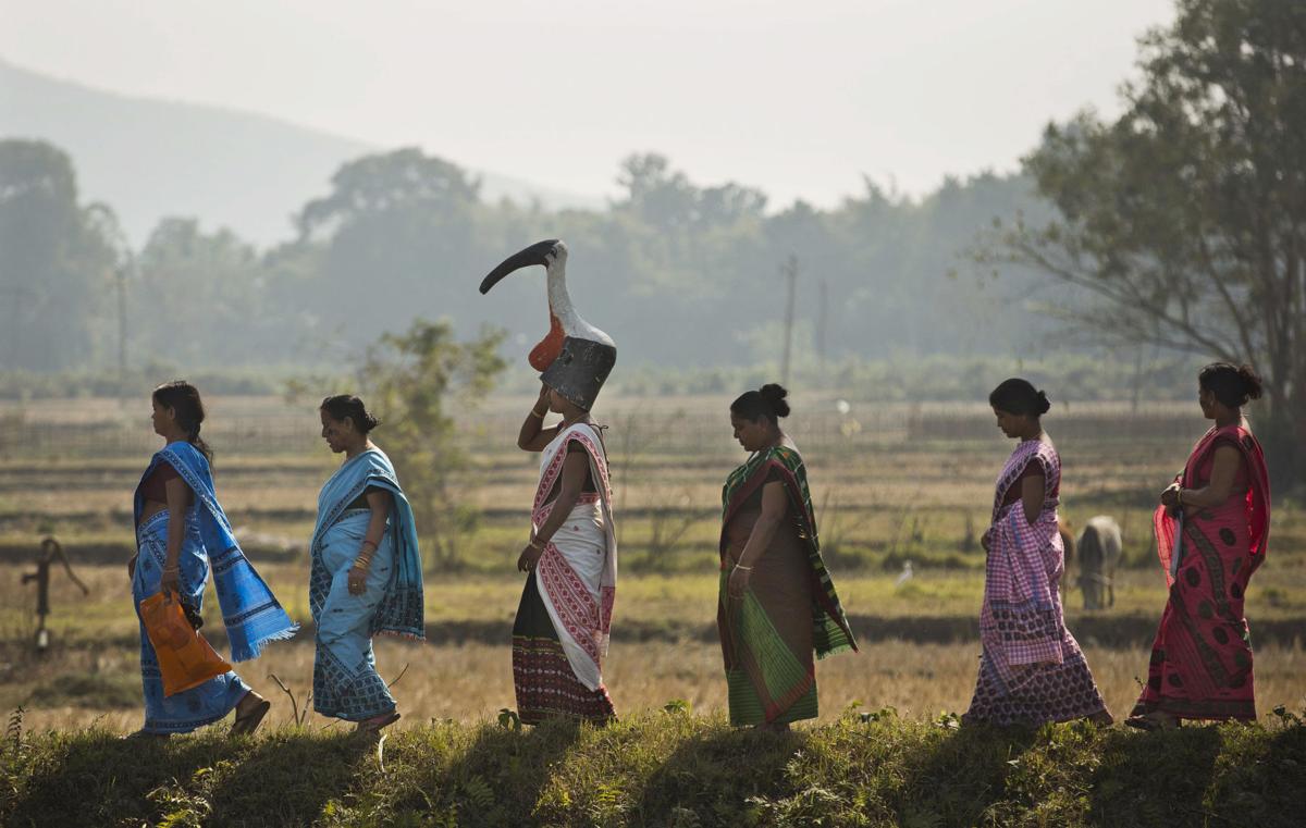 India Saving Storks