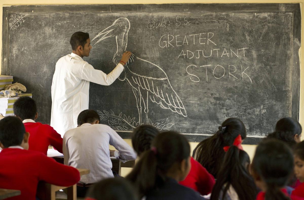 India Saving Storks