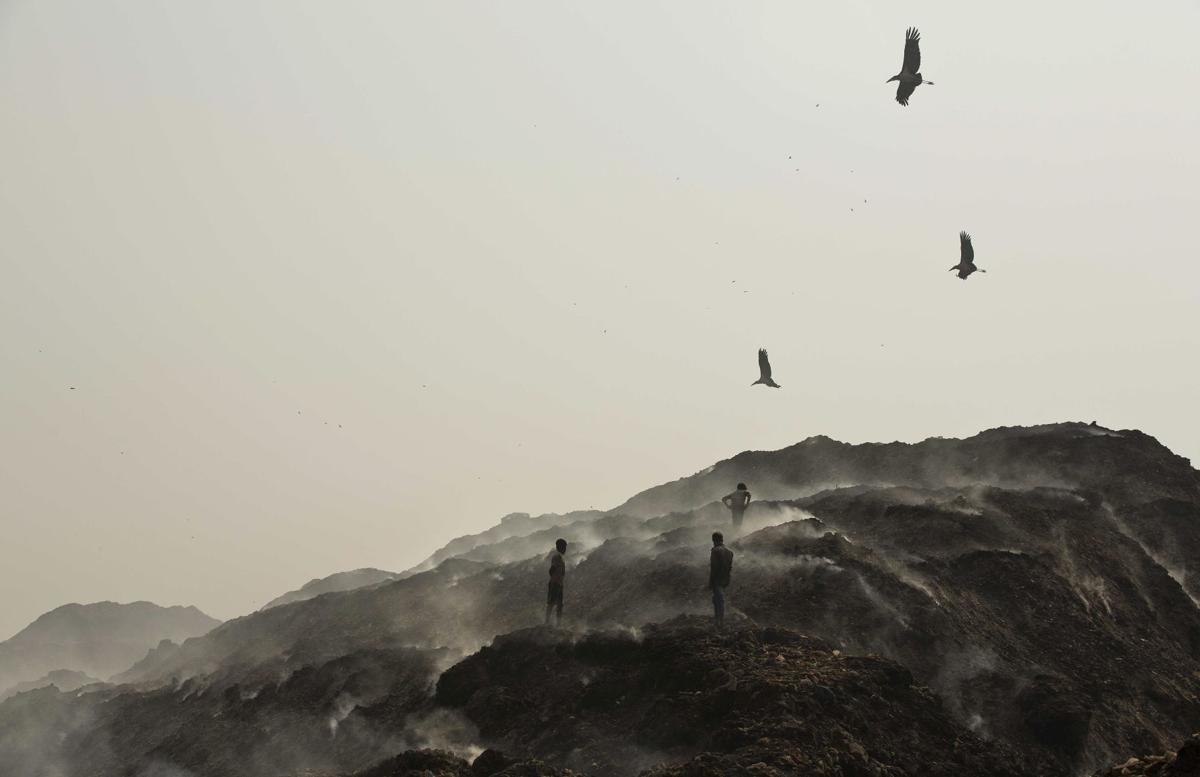India Saving Storks