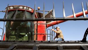 Bumper crops of corn and soybeans expected to keep prices down