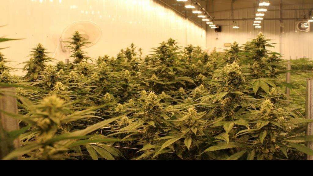 Rock Island Grow House Ready For Medical Marijuana