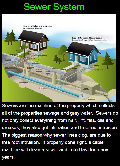 main house drain clogged