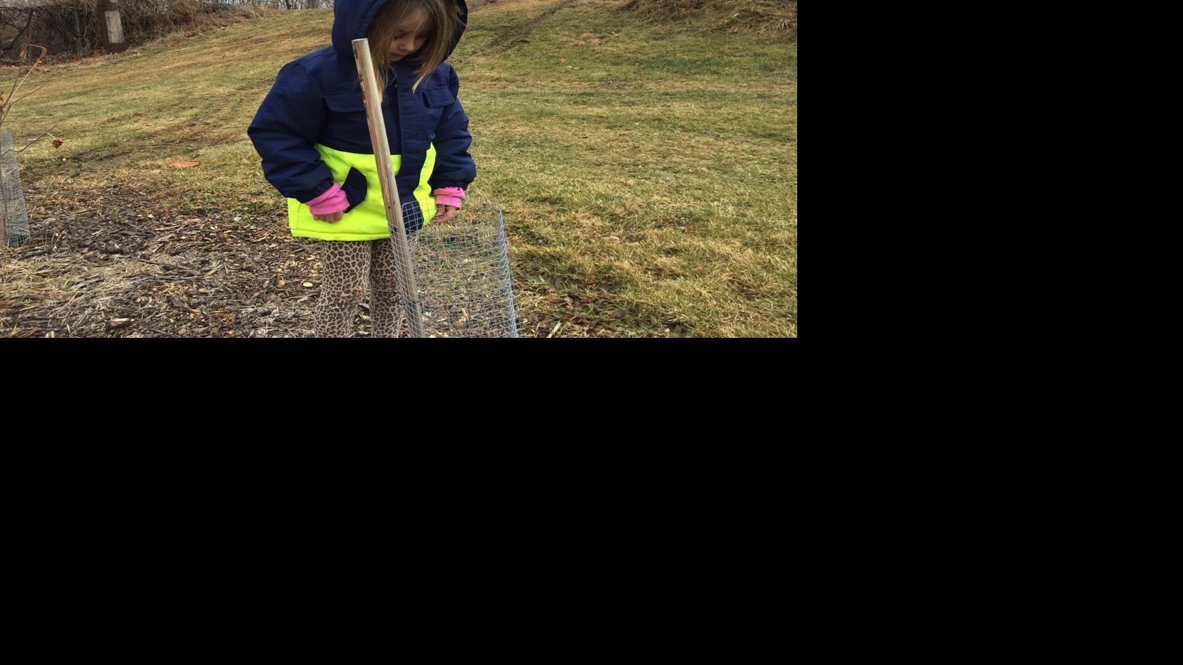 Q-C Food Forest trees vandalized - Quad City Times