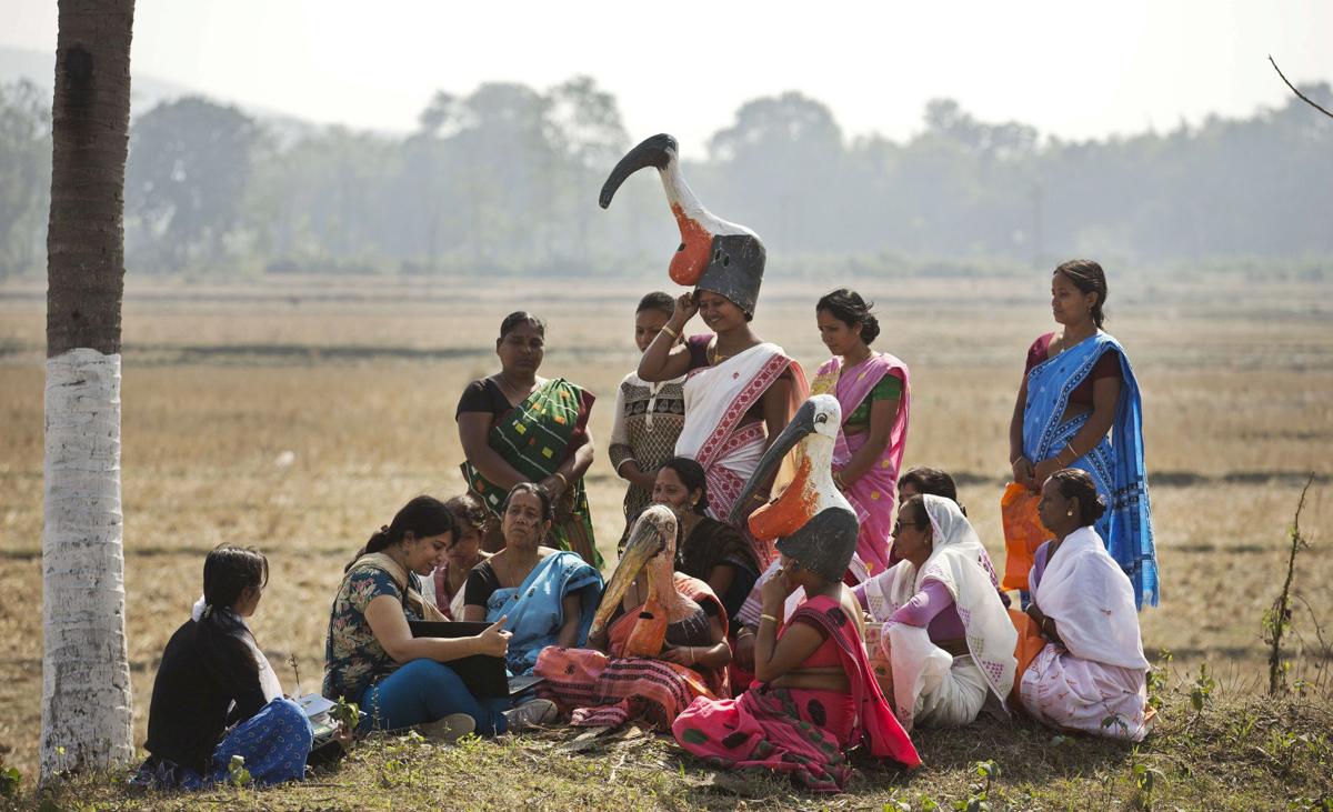 India Saving Storks
