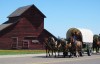 081210.Four horse hitch