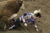 Top photos from the 2011 Black Hills Stock Show