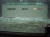 Hail by the shop