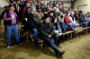 020710.BuffaloSale2.jpg