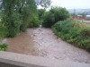 Whitewood Creek on the run
