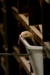 022810.Reptiles3.jpg