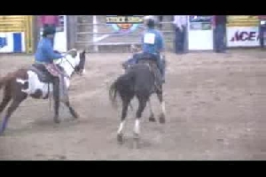 Professional Saddle Bronc Match action