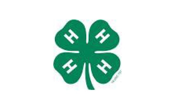 4-h-offers-broad-range-of-opportunities-for-champaign-county-youth
