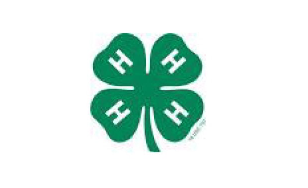 4-h-clover