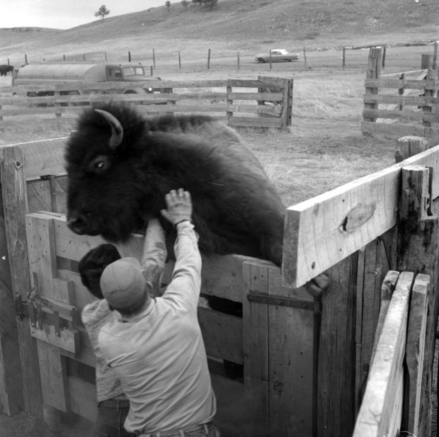 Historic Custer Photos