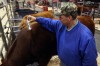 Program helps rancher lose more than 200 pounds