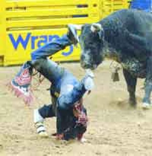 Bronc Riding Wrecks