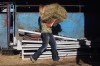 082210.fairlivestock2