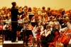 032010.Orchestra4.jpg