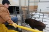 020710.BuffaloSale1.jpg