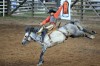072910.Rodeo2
