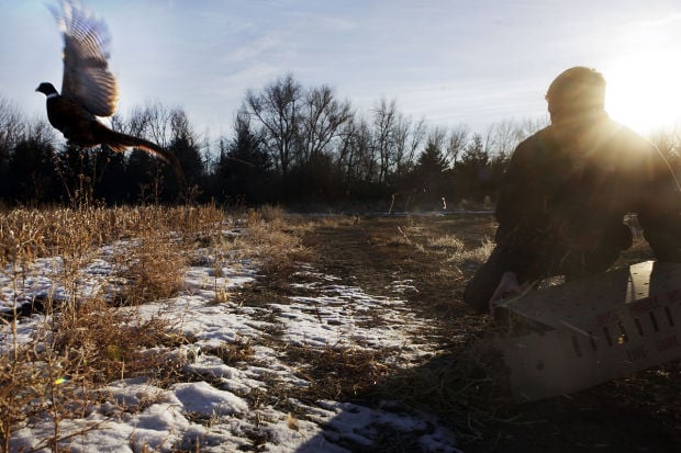 Federal hunting land in south dakota