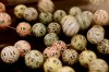 090310.Bingo4.jpg