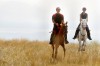 083110.Horses4.jpg