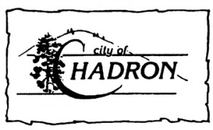 Committee appointed for city manager interviews