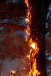 082710.Fire4.jpg