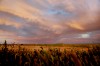 082910.Gallery001.JPG