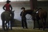 Black Hills Stock Show