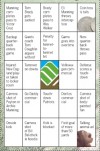 Football bingo