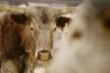 020710.StockShowEnd3.jpg